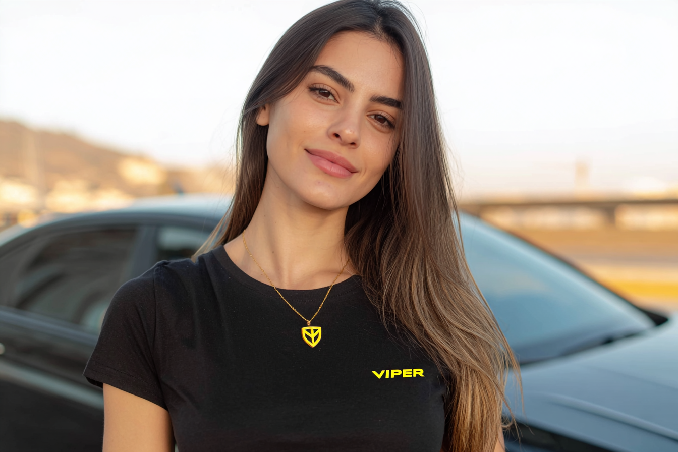 Auto Grande 2 Escudo de protección para la película de seguridad Viper.